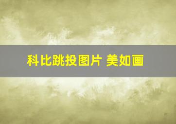 科比跳投图片 美如画